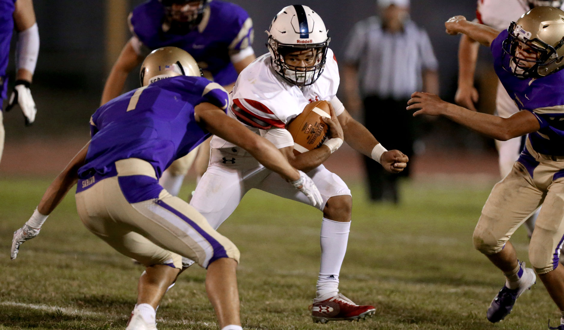 Sabino vs Sahuaro